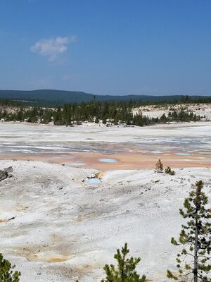 20170806_135931.jpg