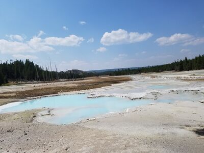20170806_140226.jpg