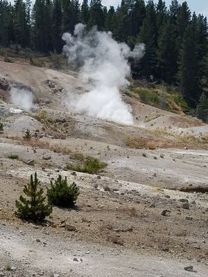 20170806_140239.jpg
