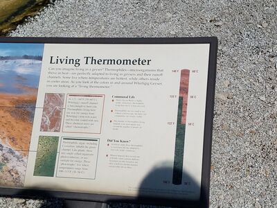 20170806_140528.jpg
