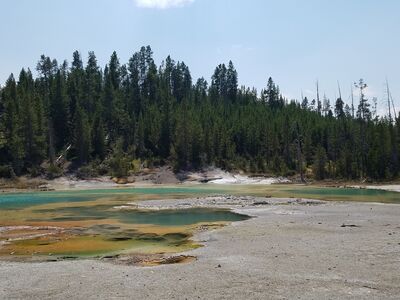 20170806_141314.jpg