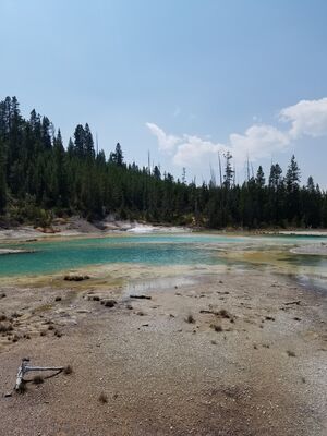 20170806_141441.jpg