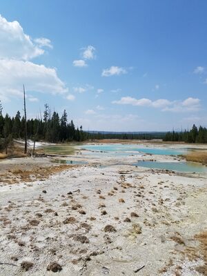 20170806_141544.jpg