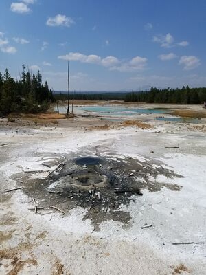 20170806_141605.jpg