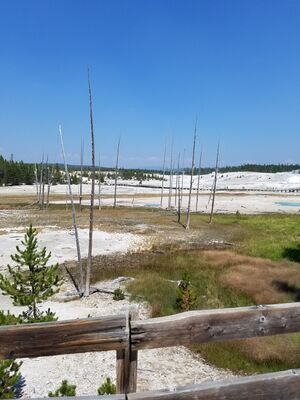 20170806_141716.jpg