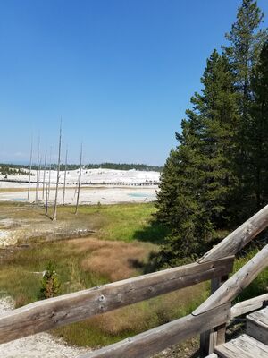 20170806_141719.jpg