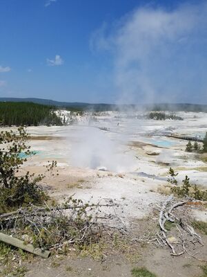 20170806_141915.jpg