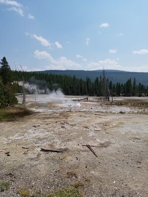 20170806_142745.jpg