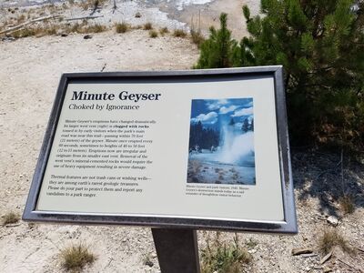 20170806_142854.jpg