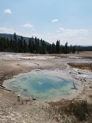 20170806_142923.jpg