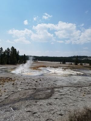 20170806_143000.jpg