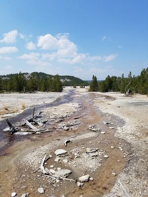 20170806_143506.jpg