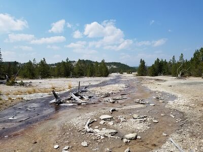 20170806_143512.jpg