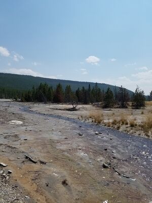 20170806_143519.jpg