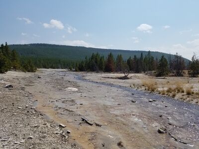20170806_143522.jpg