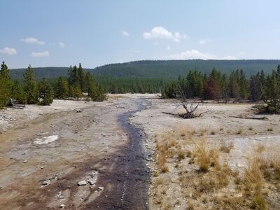 20170806_143559.jpg