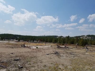 20170806_143620.jpg