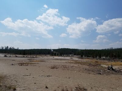 20170806_143629.jpg