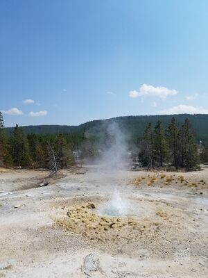 20170806_143654.jpg