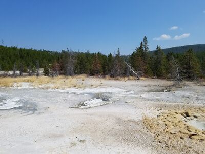 20170806_143718.jpg