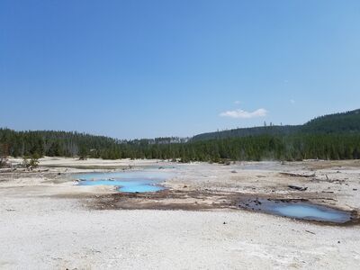 20170806_143843.jpg
