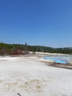 20170806_143848.jpg