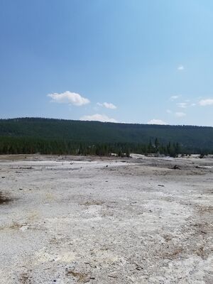 20170806_143854.jpg
