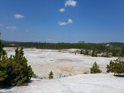 20170806_144746.jpg