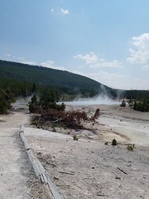 20170806_145015.jpg