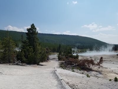 20170806_145019.jpg