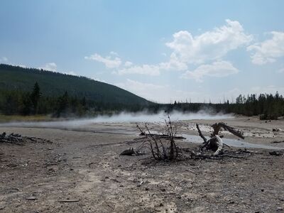 20170806_145059.jpg