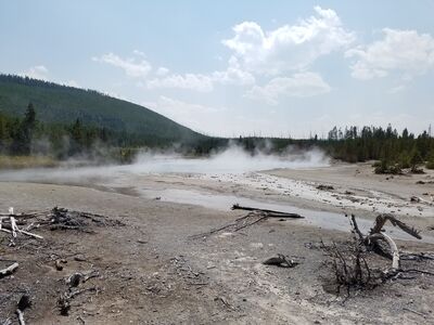 20170806_145106.jpg