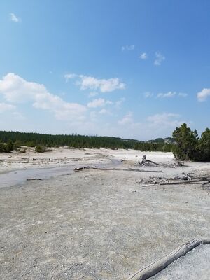 20170806_145150.jpg