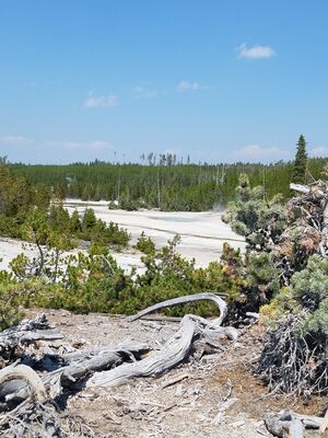 20170806_145252.jpg
