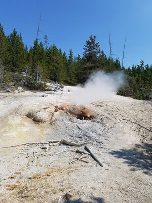 20170806_145457.jpg
