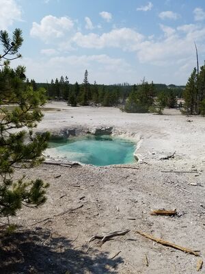 20170806_145748.jpg