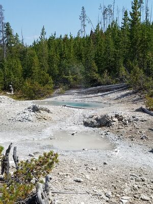 20170806_145939.jpg