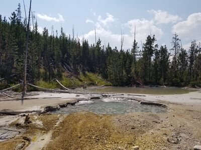 20170806_150132.jpg