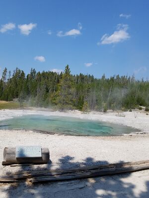 20170806_150337.jpg