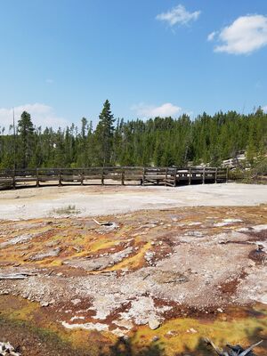 20170806_150553.jpg