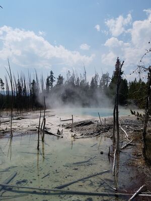 20170806_151416.jpg