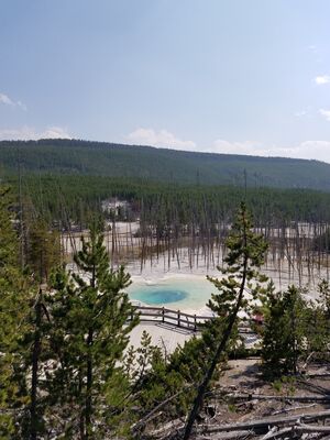 20170806_151639.jpg
