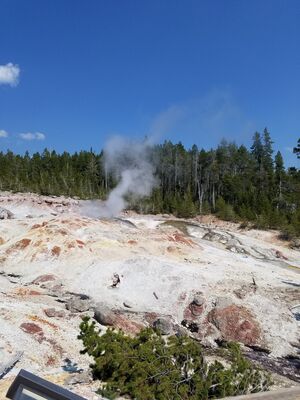 20170806_151813.jpg