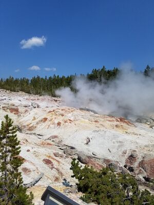 20170806_151837.jpg
