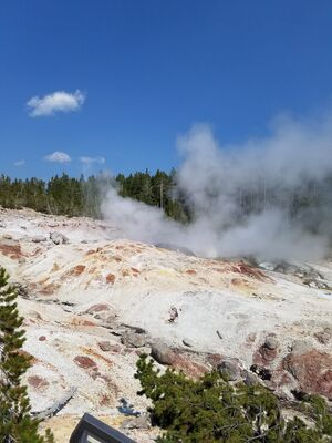 20170806_151843.jpg