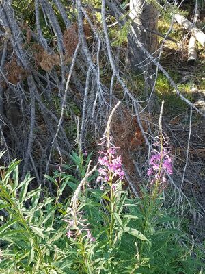 20170806_181405.jpg