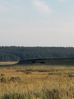 20170806_193356.jpg