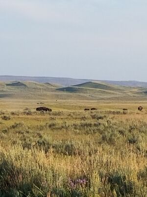 20170806_193402.jpg