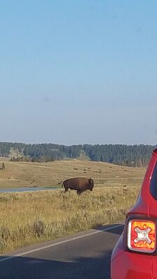 20170806_194106.jpg