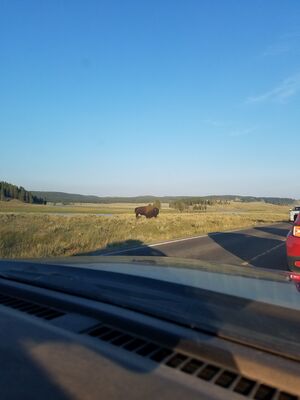 20170806_194206.jpg